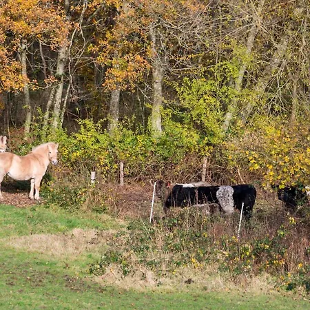 Sj277-haderslev-kelstrup-norreskov-36 *