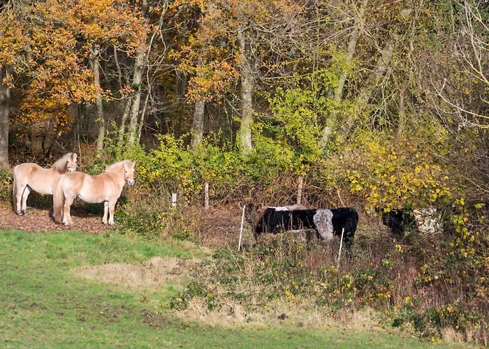 Sj277-haderslev-kelstrup-norreskov-36 *
